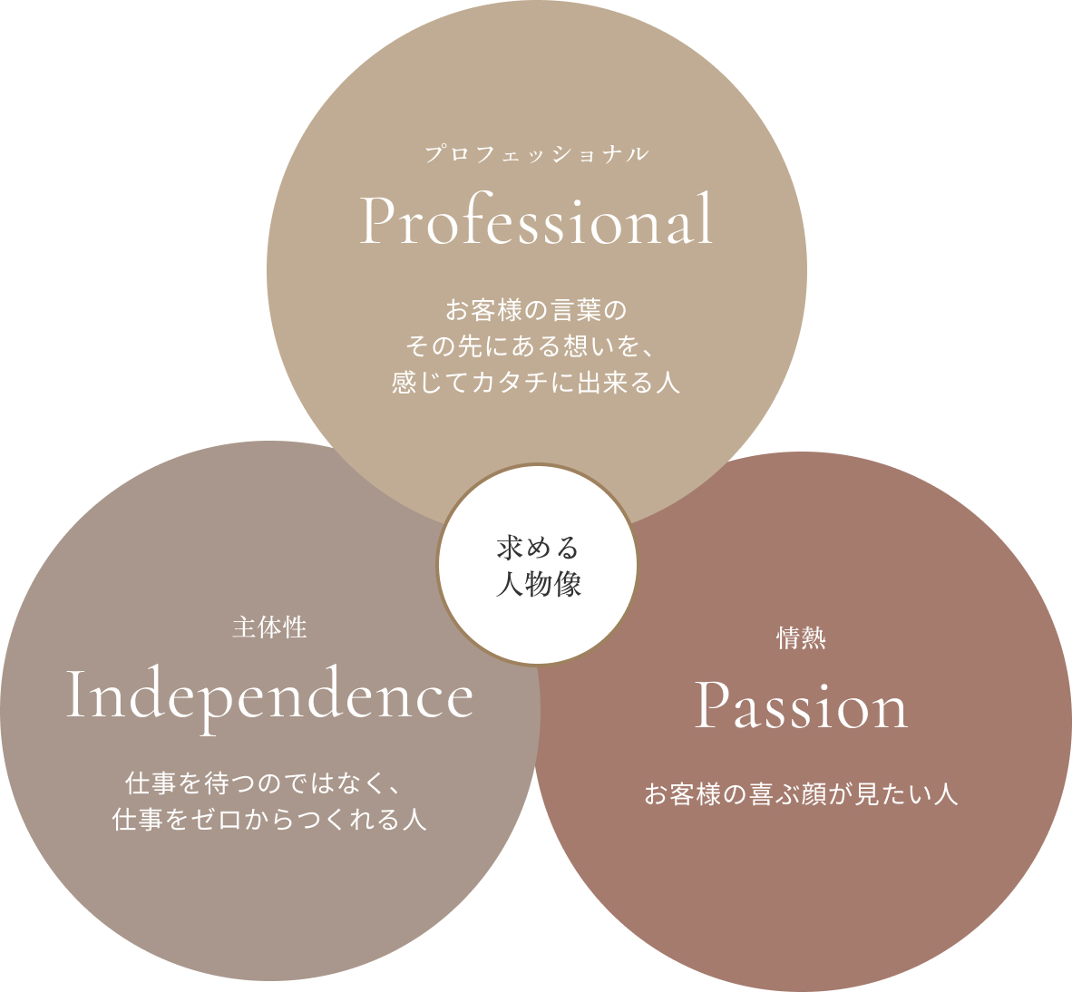 求める人物像（プロフェッショナル・主体性・情熱）の図