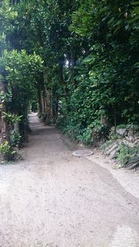 DSC_1020.JPG