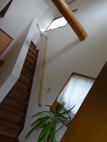 DSC05882.JPG