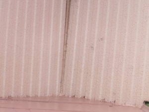 DSCF7103.JPG