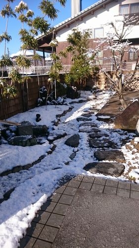 DSC_1013.JPG