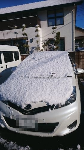 DSC_1016.JPG