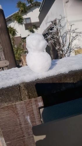 DSC_1017.JPG