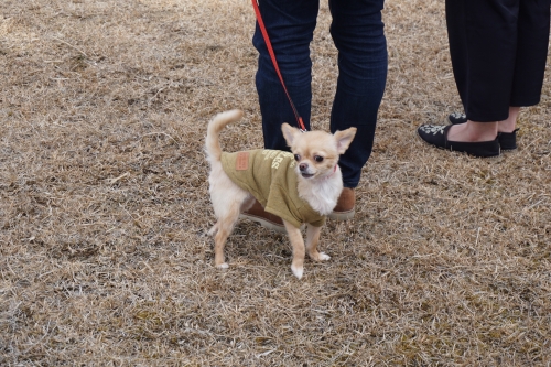 DSC08134.JPG