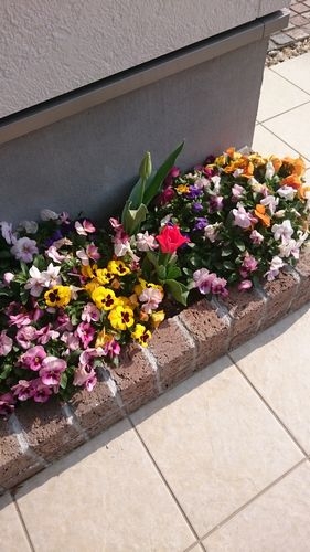 DSC_0197.JPG