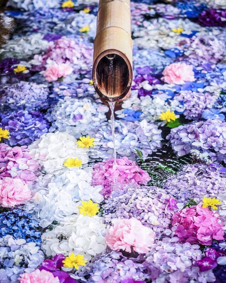 花手水.jpg
