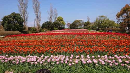 DSC_1376.JPG