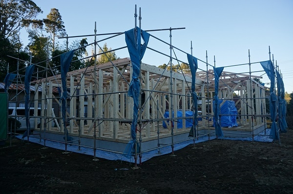 201221 (3).JPG