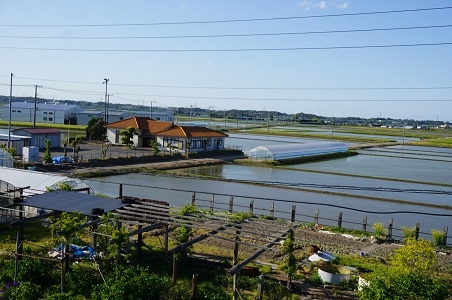 田園風景.JPG