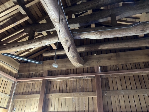 IMG_5397.JPG