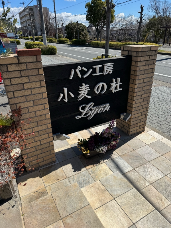 image1.jpeg