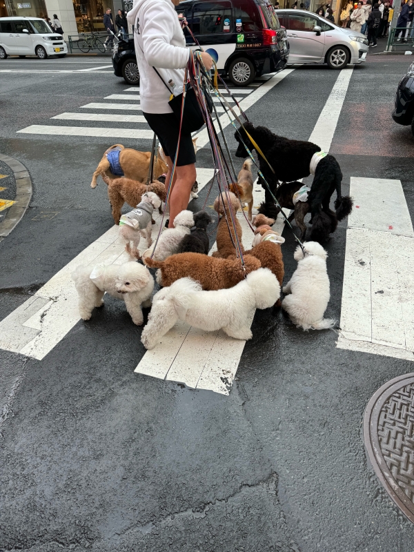 image1.jpeg