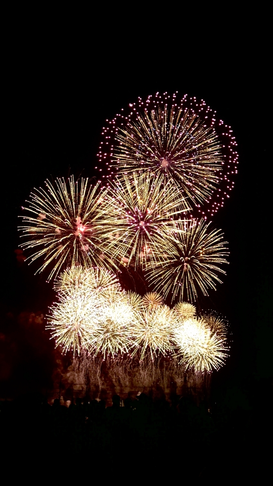 佐倉花火 (5).JPG