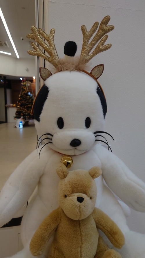 ショールーム１.JPG