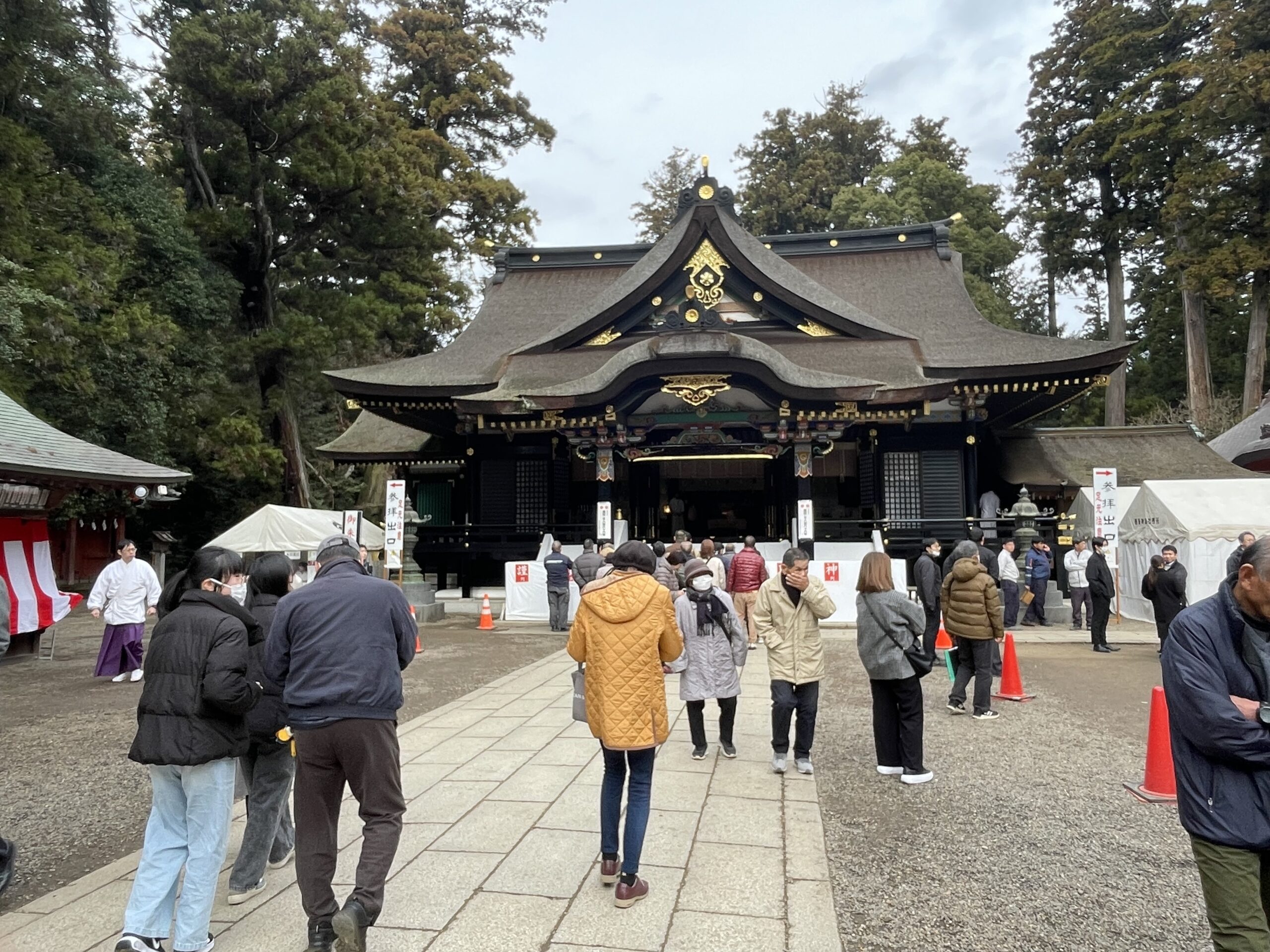 IMG_7643.jpeg
