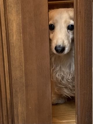 260519.jpeg
